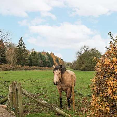 Hébergement de vacances 1 The Old Methodist Chapel *