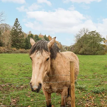 Hébergement de vacances 1 The Old Methodist Chapel Rosedale Abbey