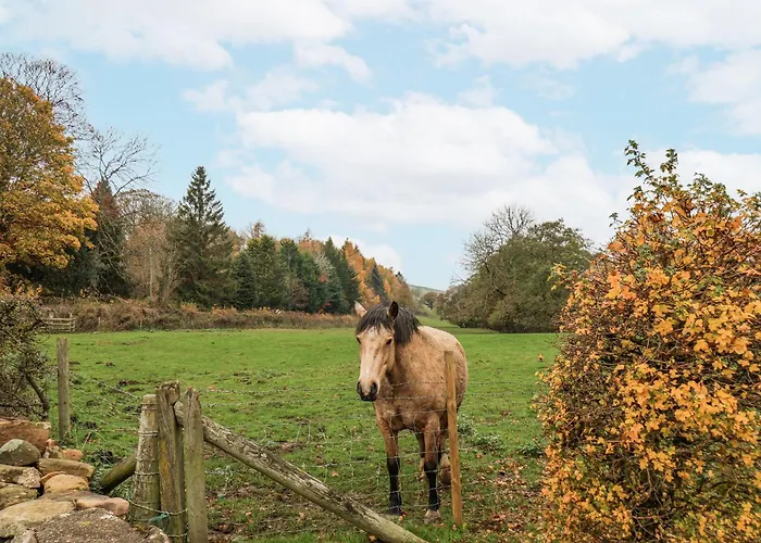 Дом отдыха 1 The Old Methodist Chapel *